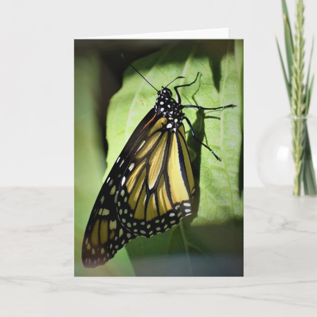 Butterfly, card (Front)