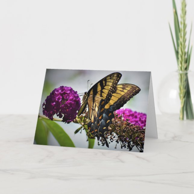 Butterfly, card (Front)