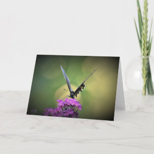Butterfly, card