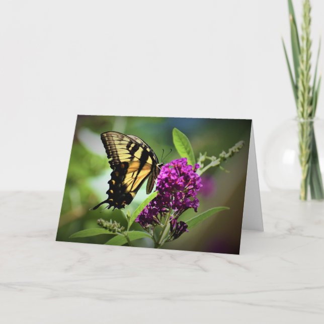 Butterfly, card (Front)