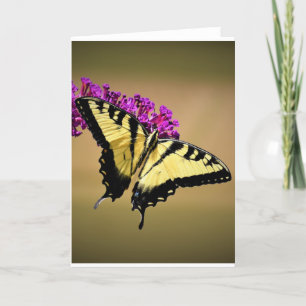 Butterfly, card