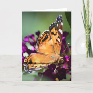Butterfly, card