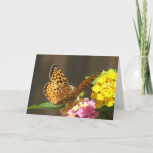 Butterfly Card