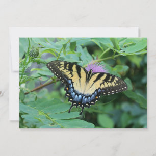 Butterfly Card