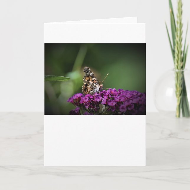 Butterfly, card (Front)