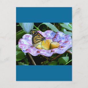 Butterfly Cartoon Postcard