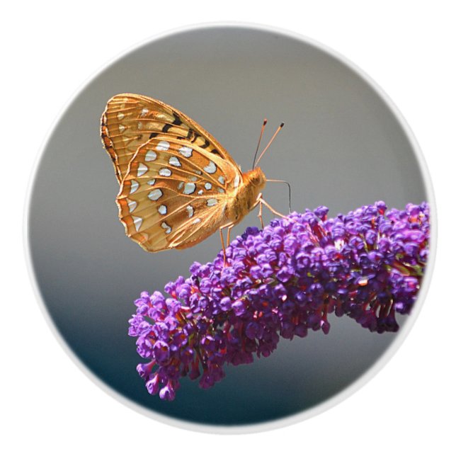 Butterfly Ceramic Knob (Front)