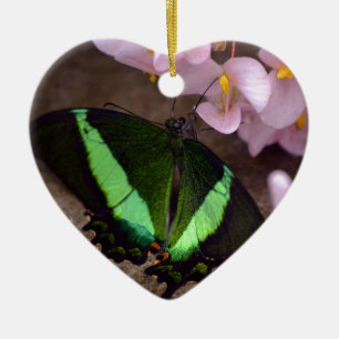 Butterfly Ceramic Ornament