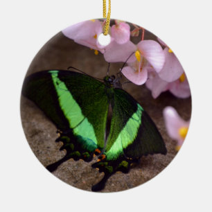 Butterfly Ceramic Ornament