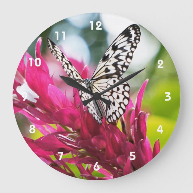 Butterfly Clocks (Front)