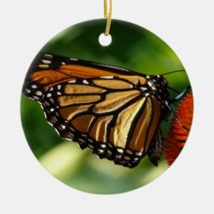 Butterfly close up ceramic ornament