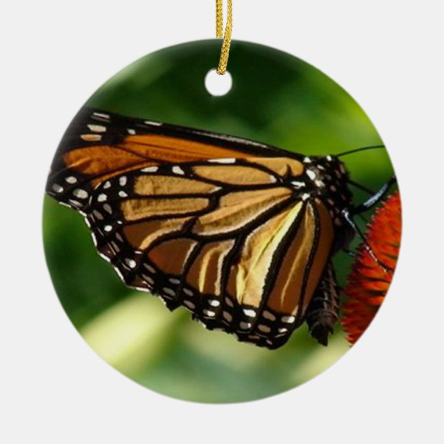 Butterfly close up ceramic ornament (Front)
