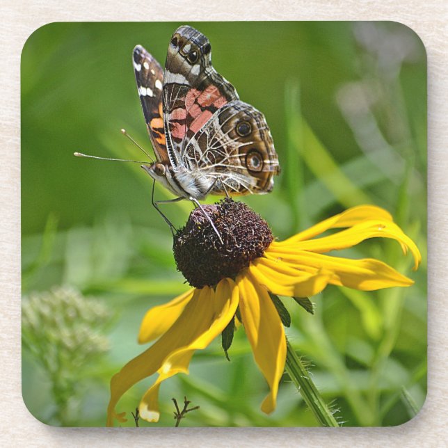 Butterfly Coaster (Front)