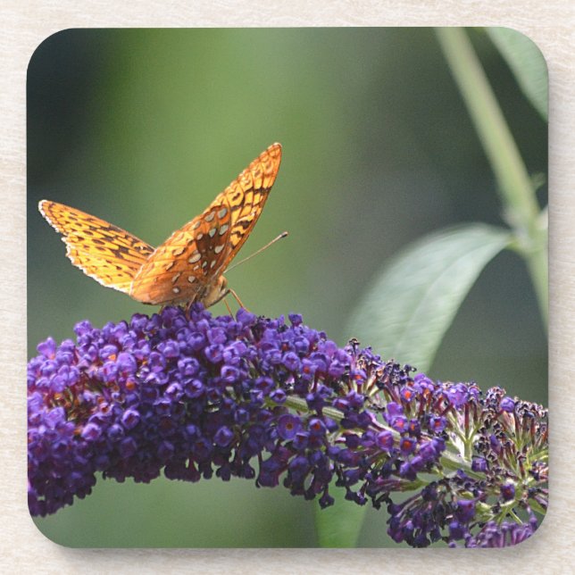 Butterfly Coaster (Front)