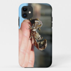 Butterfly Cocoon  Photo iPhone SE + iPhone 5/5S iPhone 11 Case