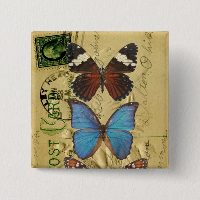 Butterfly collection 2 inch square button (Front)
