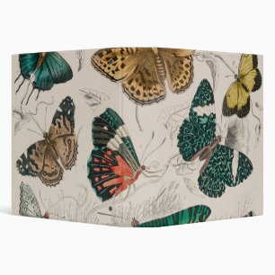 Butterfly Collection Antique Butterflies Binder
