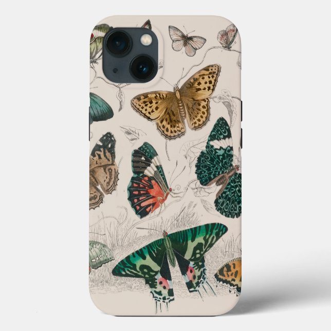 Butterfly Collection Antique Butterflies Case-Mate iPhone Case (Back)