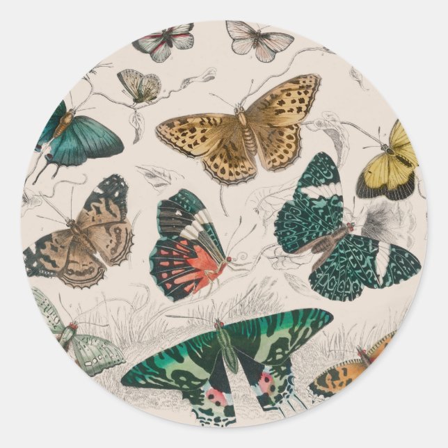 Butterfly Collection Antique Butterflies Classic Round Sticker (Front)