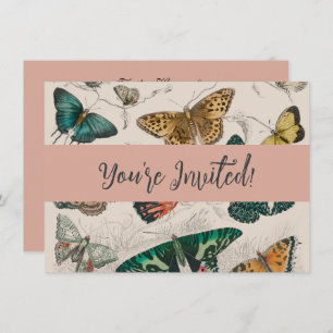Butterfly Collection Antique Butterflies Invitation