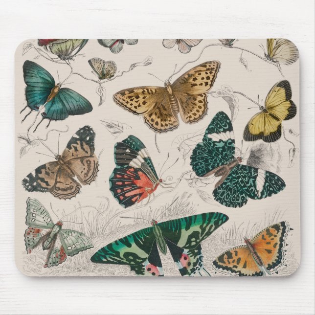 Butterfly Collection Antique Butterflies Mouse Pad (Front)