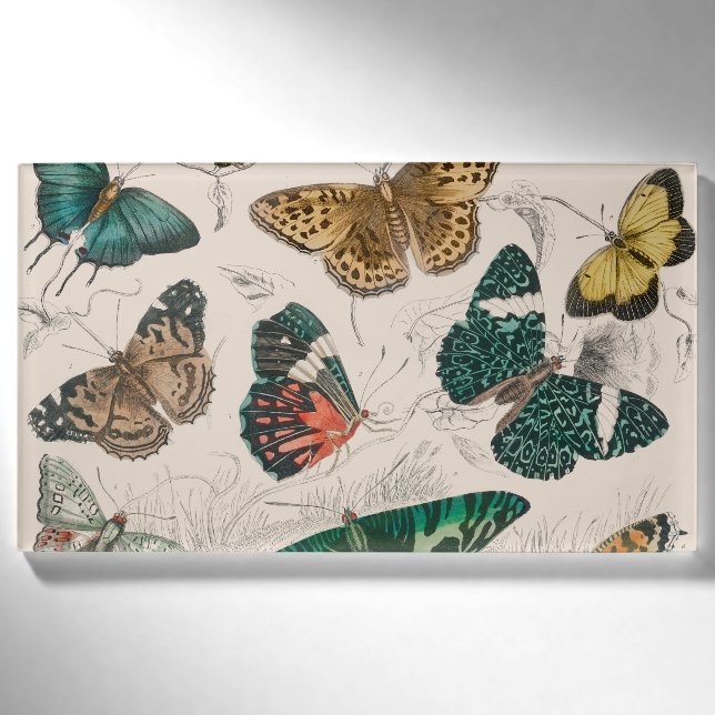 Butterfly Collection Antique Butterflies Name Tag (Front)
