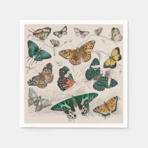 Butterfly Collection Antique Butterflies Napkin