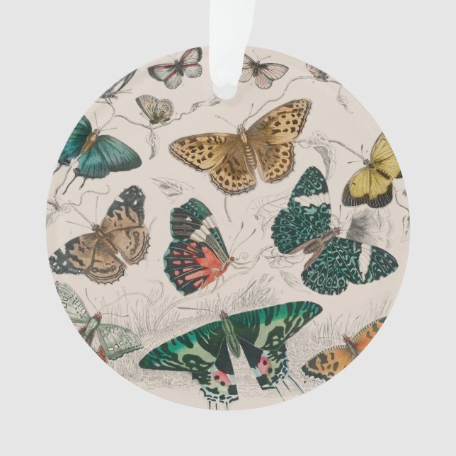 Butterfly Collection Antique Butterflies Ornament (Front)