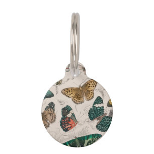 Butterfly Collection Antique Butterflies Pet Tag