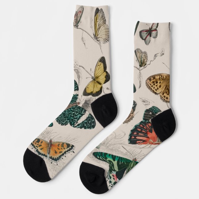 Butterfly Collection Antique Butterflies Socks (Left)