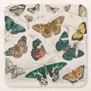 Butterfly Collection Antique Butterflies Square Paper Coaster