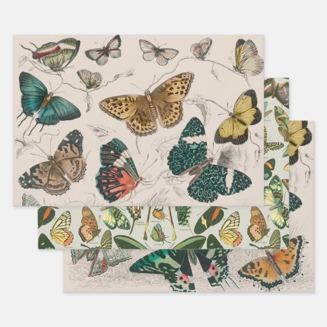Butterfly Collection Antique Butterflies Wrapping Paper Sheet (Set)