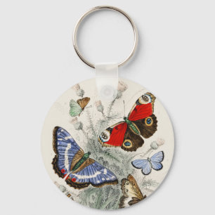 Butterfly Collection Antique Colourful Butterflies Keychain