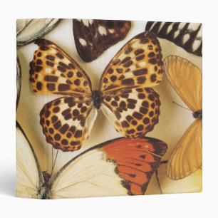 Butterfly collection binder