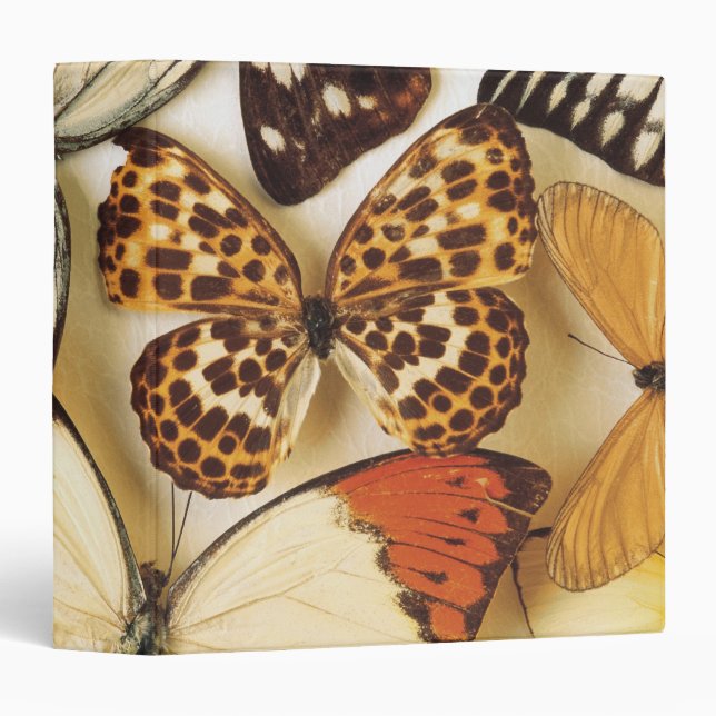 Butterfly collection binder (Front/Spine)