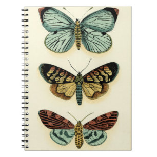 Butterfly Collection by Chariklia Zarris Notebook