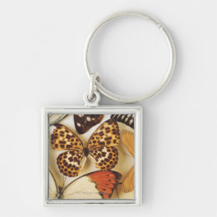 Butterfly collection keychain
