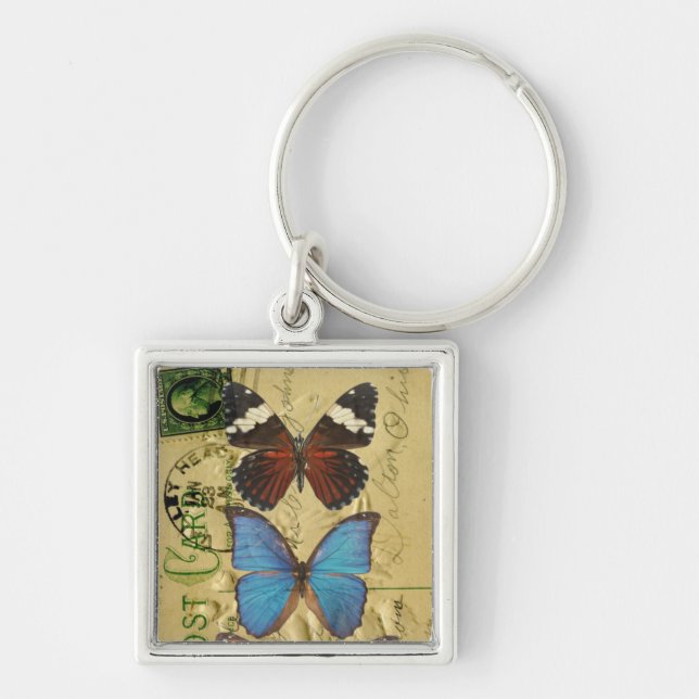 Butterfly collection keychain (Front)