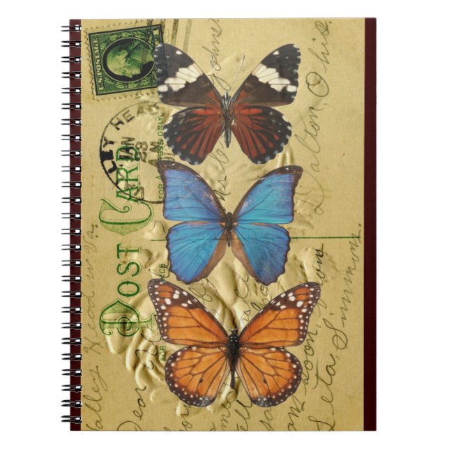 Butterfly collection notebook (Front)