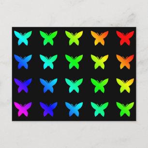 Butterfly Colourful Rainbow Colours Cute Butterfli Postcard