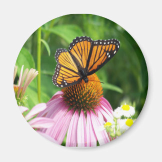 Butterfly  Cone Flower Magnet