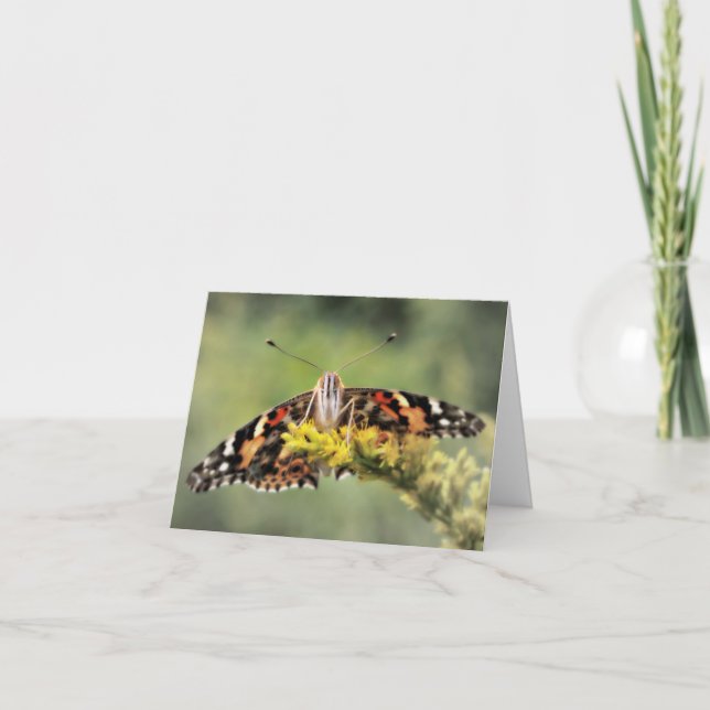 Butterfly Congratulations Card (Front)