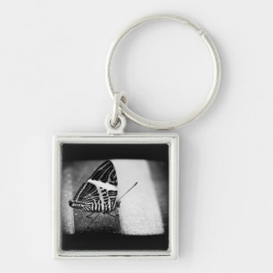 butterfly crossing keychain