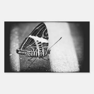butterfly crossing sticker
