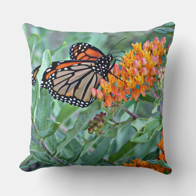 Butterfly Decorative Pillow (Front)