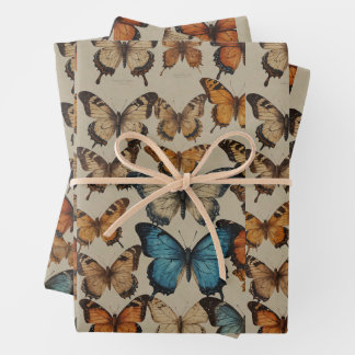 Butterfly Dreams: Elegant butterfly wrapping warp Paper Sheet