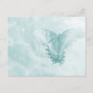 Butterfly Dreams Postcard