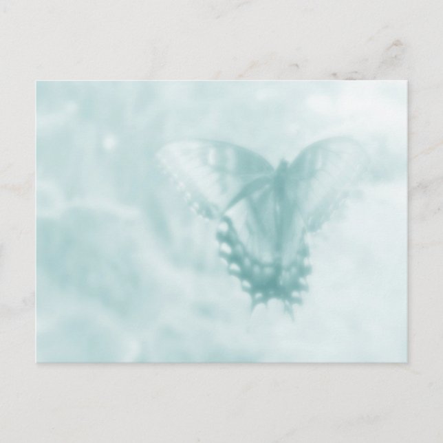 Butterfly Dreams Postcard (Front)