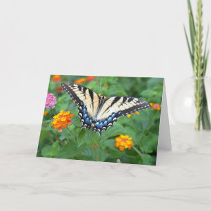 Butterfly - Eastern Tiger Swallowtail Card