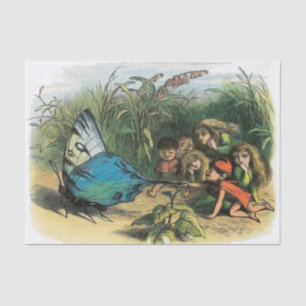 Butterfly Elf Artwork Cute Elves Butterflies Tissue Paper